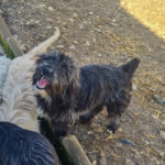 20260222-fotos-kairo-08