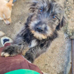 20260222-fotos-kairo-09