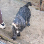 20260222-fotos-kairo-10