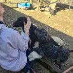 20260222-fotos-kairo-11