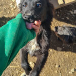 20260222-fotos-kalea-1