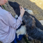 20260222-fotos-kalea-2