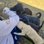 20260222-fotos-kalea-3