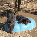 20260222-fotos-kalea-4