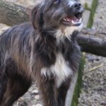 20260222-fotos-kalina-01