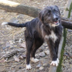 20260222-fotos-kalina-02