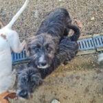 20260222-fotos-kalina-03