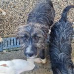 20260222-fotos-kalina-04