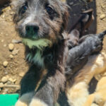 20260222-fotos-kalina-05