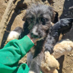 20260222-fotos-kalina-06