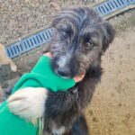 20260222-fotos-kalina-07