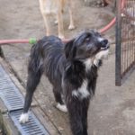 20260222-fotos-kalina-08