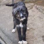 20260222-fotos-kalina-09