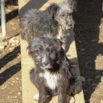 20260222-fotos-kalina-10