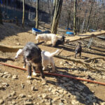 20260222-fotos-kalina-12