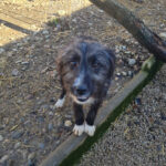 20260222-fotos-kalina-13