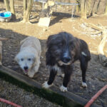 20260222-fotos-kalina-14