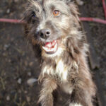 20260222-fotos-kalina-15