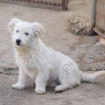 20260222-fotos-kasper-1