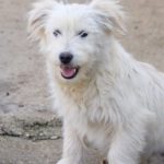 20260222-fotos-kasper-2