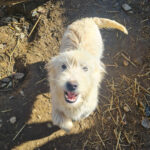 20260222-fotos-kasper-3