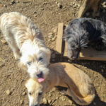 20260222-fotos-kasper-4