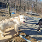 20260222-fotos-kasper-5