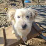 20260222-fotos-kasper-6