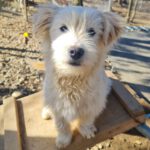 20260222-fotos-kasper-7