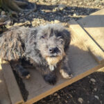 20260222-fotos-keanu-01