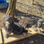 20260222-fotos-keanu-03