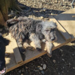 20260222-fotos-keanu-04