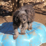 20260222-fotos-keanu-06