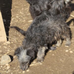 20260222-fotos-keanu-07