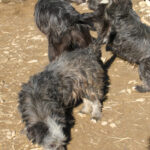 20260222-fotos-keanu-08