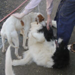 20260222-fotos-ledo-01