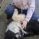 20260222-fotos-ledo-02