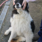 20260222-fotos-ledo-03