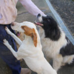 20260222-fotos-ledo-04