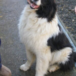 20260222-fotos-ledo-05