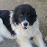 20260222-fotos-ledo-06