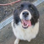 20260222-fotos-ledo-07