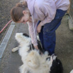 20260222-fotos-ledo-08