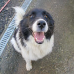 20260222-fotos-ledo-09