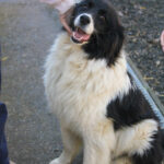 20260222-fotos-ledo-11