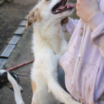 20260222-fotos-lima-5