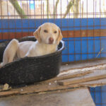 20260222-fotos-magdalena-2