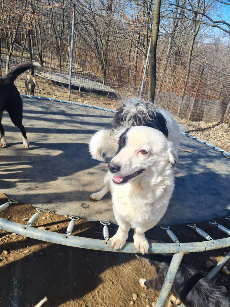 20260222-fotos-pupin-1