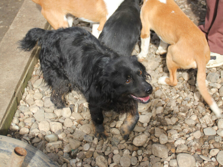 20260222-fotos-ralf-1