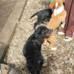 20260222-fotos-ralf-2